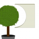 Buxus rond snoeien